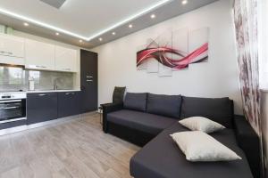 Kuchyň nebo kuchyňský kout v ubytování Reza Luxury Apartment