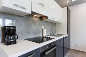Kuchyň nebo kuchyňský kout v ubytování Reza Luxury Apartment