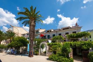 a palm tree in front of a building at Podgora City Center in Podgora