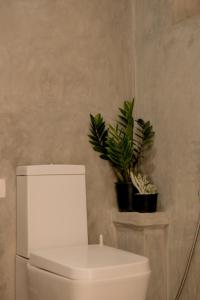 Gallery image of Tuk Tuk Boutique Hotel in Negombo