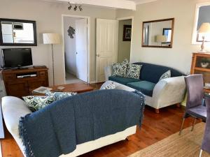 a living room with two couches and a tv at Lakeview Cottage in Forster
