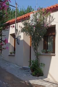 a white house with a tree in front of it at Antoni's House Makri in Alexandroupoli +5 photos