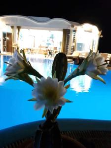 Villa Manos Hotel内部或周边的泳池