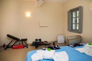 Academia e/ou comodidades em villa aneme Spetses