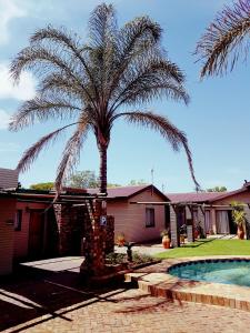 un palmier en face d'une maison avec piscine dans l'établissement Mckala Guesthouse, à Kimberley