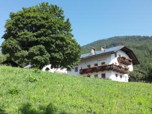 Biały dom na wzgórzu z drzewem w obiekcie Gruppenhaus Thalackerhof w mieście Brunico