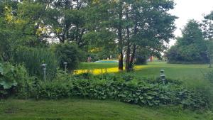 Billund Farm Holiday外面的花园