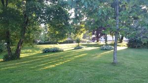 Billund Farm Holiday外面的花园