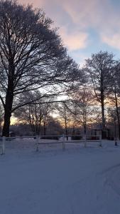冬天的Billund Farm Holiday