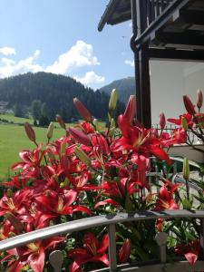 um ramo de flores vermelhas numa cerca em Cedepuent de Sot em Selva di Val Gardena