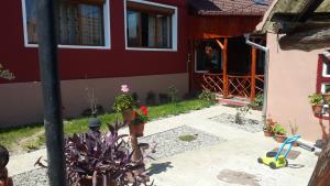 een tuin voor een huis met een tuin bij Casa Suzy & Roxy in Arpaşu de Jos