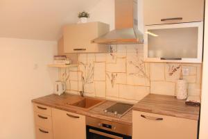 Kuchyňa alebo kuchynka v ubytovaní Studio apartman Lakasa