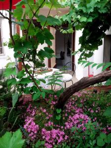 Vonkajšia záhrada v ubytovaní House - Apartment Dama