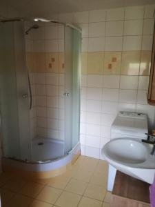 a bathroom with a shower and a tub and a sink at Ing. Martin Čech Kielar in Hlohovec