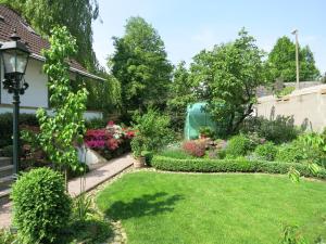 Zahrada ubytování Wildgarten