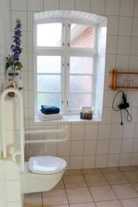 a bathroom with a toilet and a window at OSTSEEferien am BARFUSSpark in Hasselberg