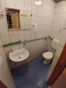 un bagno con lavandino e WC di Ljubicica Hostel a Sarajevo Altre 35 foto
