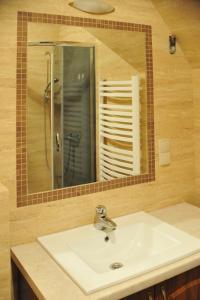 ブコビナ・タトシャンスカにあるWilla Wiktoriaのバスルーム(鏡付き洗面台、シャワー付)