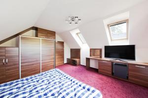 1 dormitorio con 1 cama y TV de pantalla plana en Černá louže en Branžež