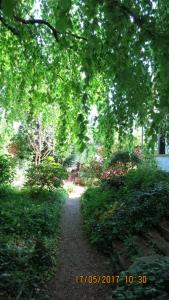 Zahrada ubytování Wildgarten