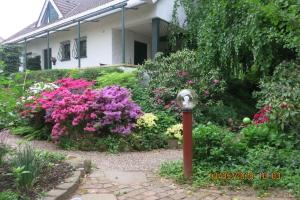 Zahrada ubytování Wildgarten