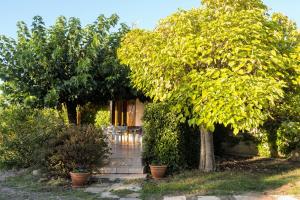 a house with two trees and a path leading to it at Le violet in Gaillac