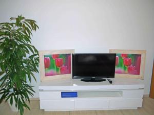 TV i/ili multimedijalni sistem u objektu Wohlfühlappartement mit Bergblick