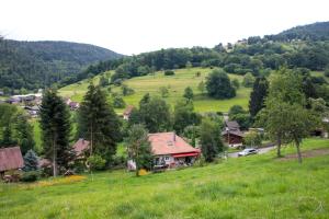 un pequeño pueblo en una colina con césped verde y árboles en Gite Chez Mimie, en Breitenbach-Haut-Rhin