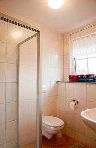 een badkamer met een toilet en een wastafel bij Spreewaldpension Andreas Krüger in Schlepzig