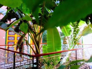 a fence with a plant in front of a building at Riad Espagne in Marrakech