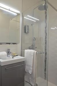 a bathroom with a shower and a sink and a mirror at Logis L'hermitage in Buzançais
