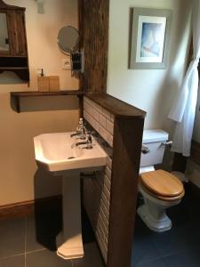ein Bad mit einem Waschbecken und einem WC in der Unterkunft 72 Route Du Fry in Les Gets