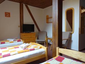 a bedroom with two beds and a tv in it at Hotel Trosky in Troskovice