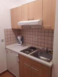 eine kleine Küche mit einer Spüle und einer Theke in der Unterkunft Apartments Lav Poreč in Poreč