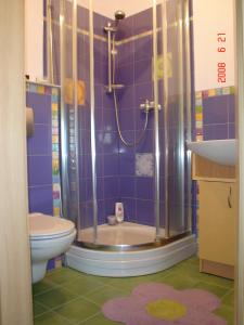 ウストカにあるApartamenty Mewaのバスルーム(シャワー、トイレ、シンク付)