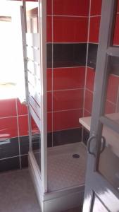 a bathroom with a shower with red walls at La Hall in Thiers