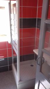 ein Bad mit einer Dusche mit roten Wänden in der Unterkunft La Hall in Thiers