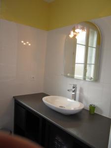 a bathroom with a sink and a mirror on a counter at Côté Jardin in Saint-Jean-en-Royans