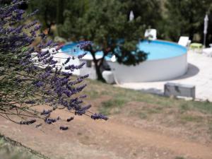 a bunch of purple flowers next to a swimming pool at Poderino Bellavista in Castellina Marittima
