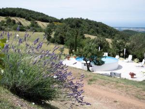 a field of purple flowers next to a pool at Poderino Bellavista in Castellina Marittima