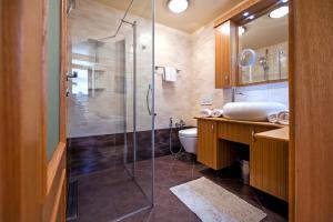 a bathroom with a shower and a toilet and a sink at Guest House Golden Goose in Rovinj