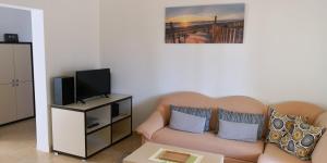 ein Wohnzimmer mit einem Sofa und einem TV in der Unterkunft Apartment Cota in Vinkuran