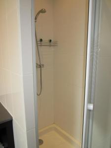 W łazience znajduje się prysznic ze szklanymi drzwiami. w obiekcie Côté Jardin w mieście Saint-Jean-en-Royans