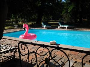 uma piscina com um cisne cor-de-rosa no meio em Les Hotes Des Guillemets em Laglorieuse