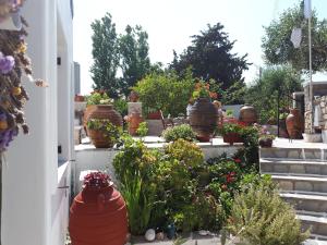 a garden with many pots of flowers on steps at Margarita Studios in Parikia