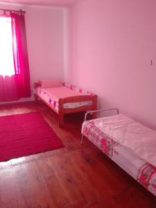 Pokój z 2 łóżkami i oknem w obiekcie HALEX5 w mieście Svidova