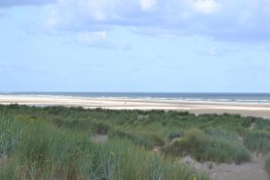 a view of a beach with grass and the ocean at Fletcher Duinhotel Hotel Burgh Haamstede in Burgh Haamstede