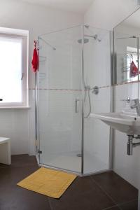 a shower with a glass door next to a sink at Casa Rosa dei Venti in Nago-Torbole