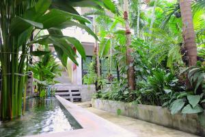 a garden with a pool of water and plants at Blue Wave House in Koh Tao