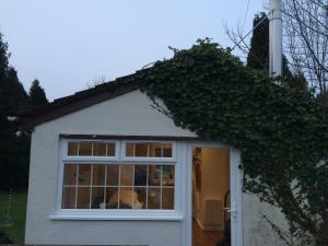 a ivy growing on the side of a house at The Cwtch in Cardiff